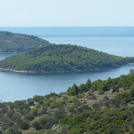 Paric * Vela Luka